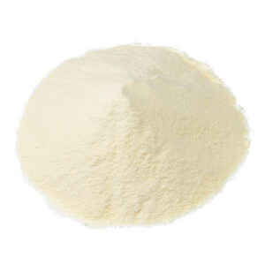 Acid Whey Powder (AWP)