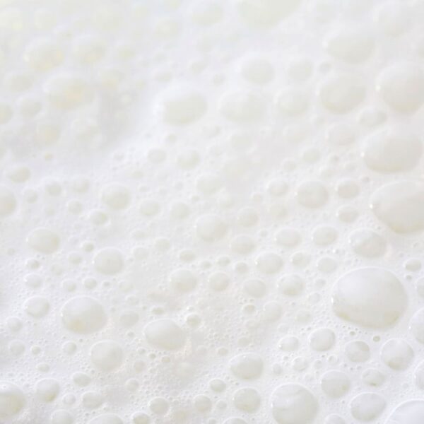 Skimmed Milk Concentrate