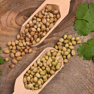 Corriander Seeds
