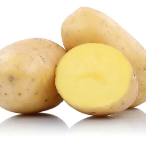 Potato