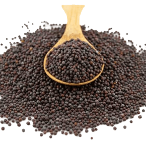Black Mustard Seeds
