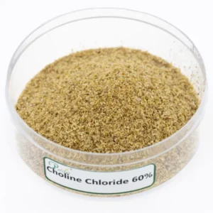 Choline Chloride 60% (Vitamin B4)