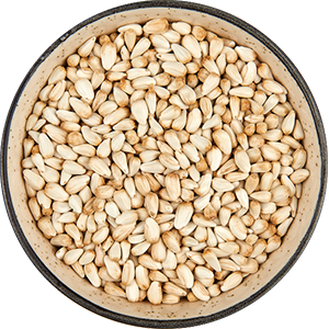 Safflower Seeds