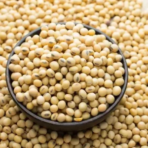 Soybean Seeds