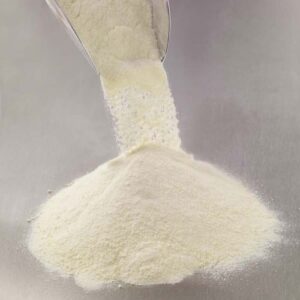 Demineralized whey powder