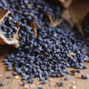 Blue Poppy Seeds