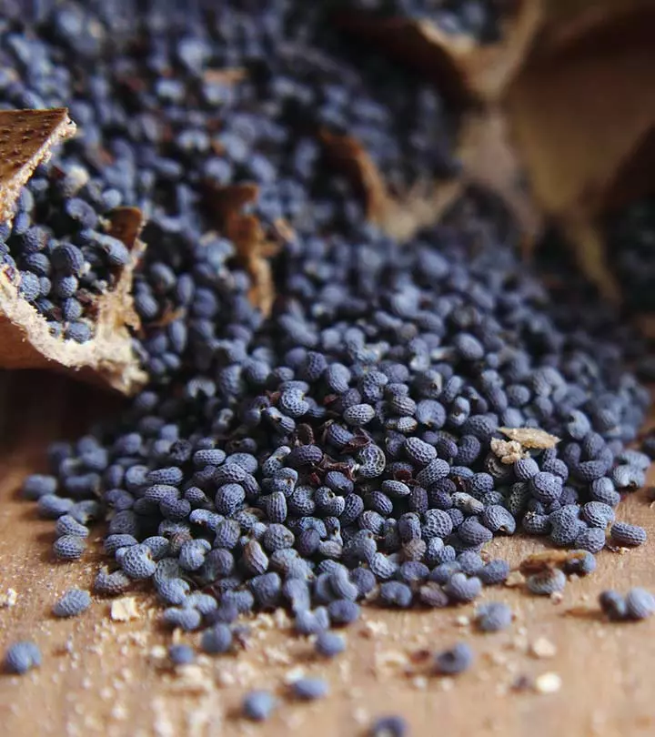 Blue Poppy Seeds
