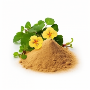 Small-leaf bacopa extract