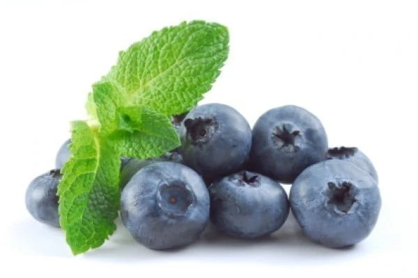 Bilberry extract (of Chinese origin)