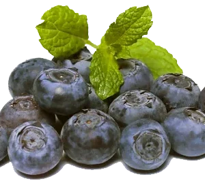Blueberry extract