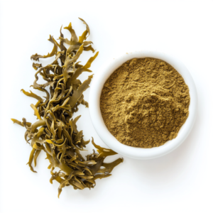 Extract of bladderwort