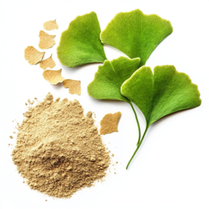 Ginkgo biloba extract (maidenhair tree)