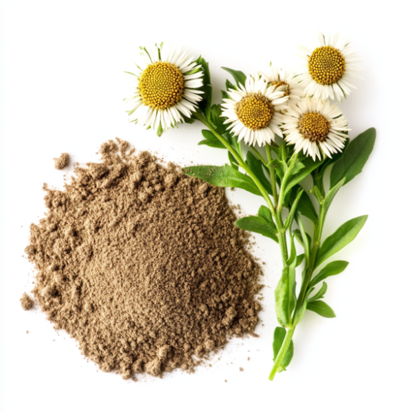 Emercon Extract Erigeron canadensis extract – Kon Beverages AB