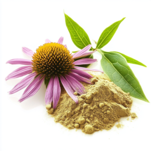 Echinacea extract