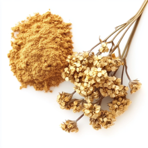 Yarrow dwarf extract