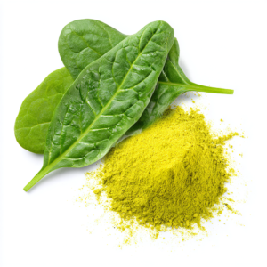 Spinach Leaf Extract