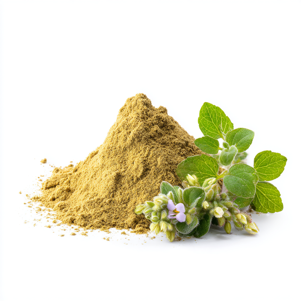 Oregano extract