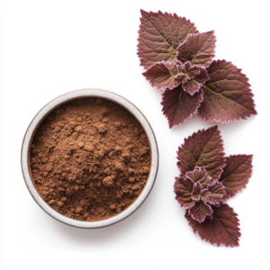 Indian coleus extract