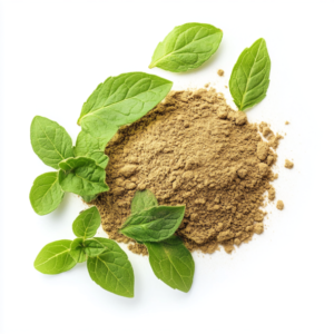 Holy Basil Extract