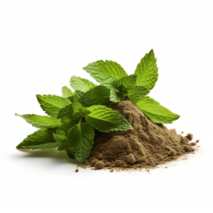 Peppermint extract