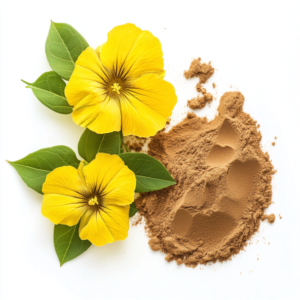 Extract of Convolvulus pluricaulis (Shankhpushpi)