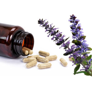 Ajuga Turkestanica Extract
