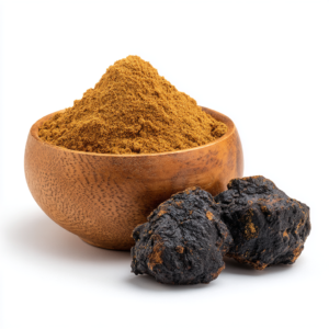 Subcortical spinneret (Chaga)