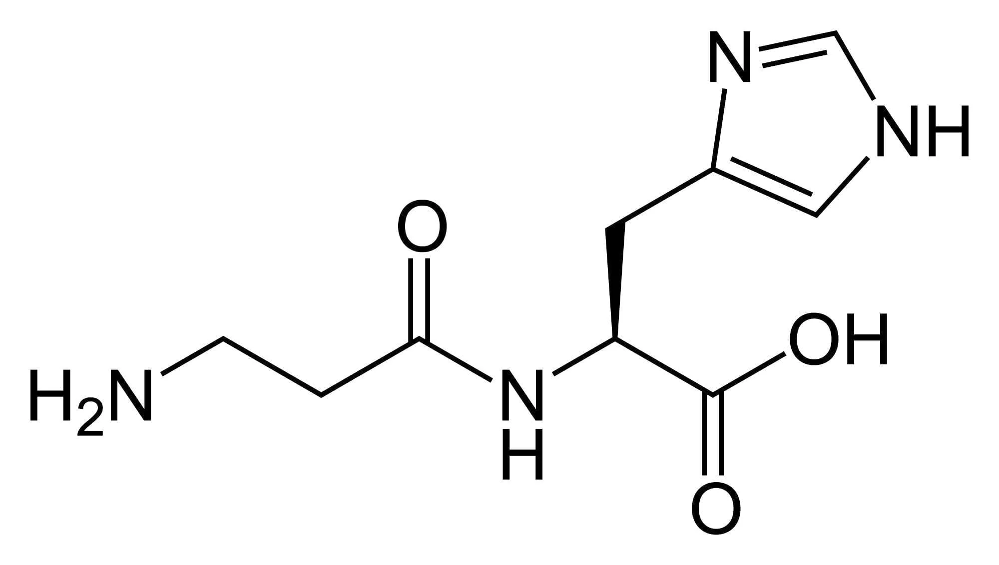 L-carnosine