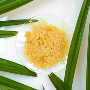 Carnauba Wax